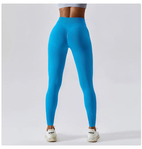 Zoorie Seamless Sporty Scrunch Leggings