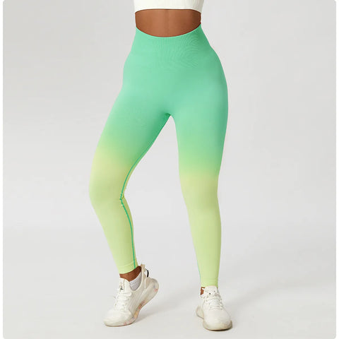 Zoorie Gradient Seamless Leggings