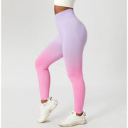 Zoorie Gradient Seamless Leggings