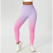 Zoorie Gradient Seamless Leggings