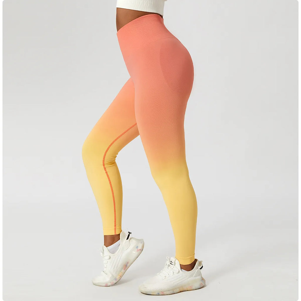 Zoorie Gradient Seamless Leggings