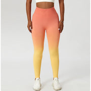 Zoorie Gradient Seamless Leggings