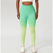 Zoorie Gradient Seamless Leggings