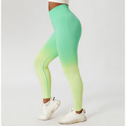 Zoorie Gradient Seamless Leggings